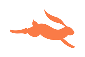 今天起世园会开展啦!九图教你辨别常见花卉